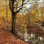 The Mill House - Watermill * Sæby
