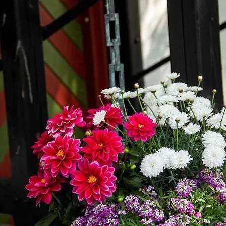 The Mill House - Watermill Prázdninový dům Sæby