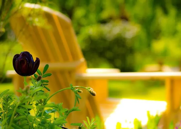 The Mill House - Watermill * Sæby