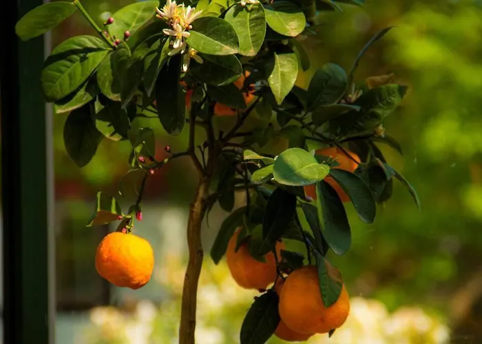 The Mill House - Watermill *