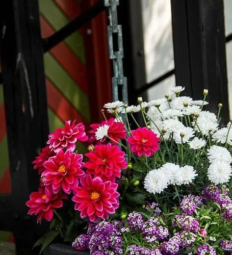 The Mill House - Watermill Semesterbostad Sæby