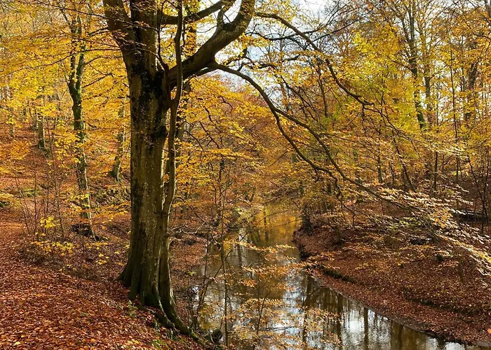 The Mill House - Watermill * Sæby